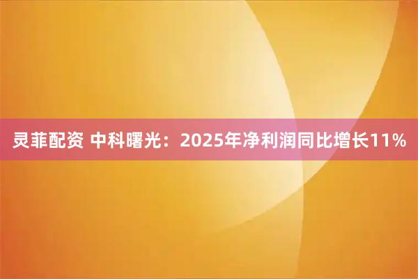 灵菲配资 中科曙光：2025年净利润同比增长11%