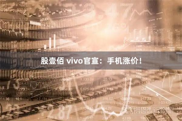 股壹佰 vivo官宣：手机涨价！