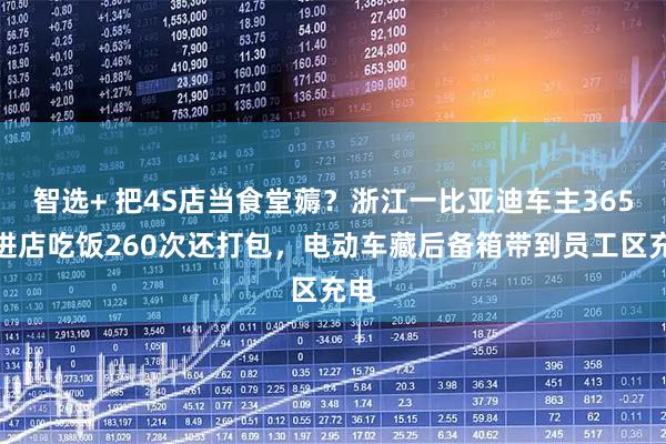 智选+ 把4S店当食堂薅？浙江一比亚迪车主365天进店吃饭260次还打包，电动车藏后备箱带到员工区充电