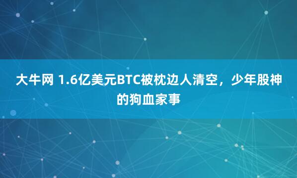 大牛网 1.6亿美元BTC被枕边人清空，少年股神的狗血家事
