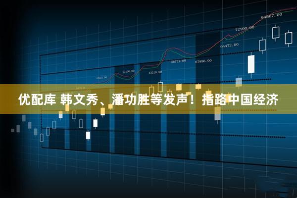 优配库 韩文秀、潘功胜等发声！指路中国经济