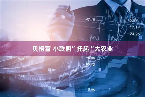 贝格富 小联盟”托起“大农业