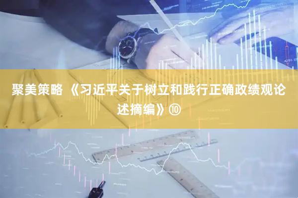 聚美策略 《习近平关于树立和践行正确政绩观论述摘编》⑩