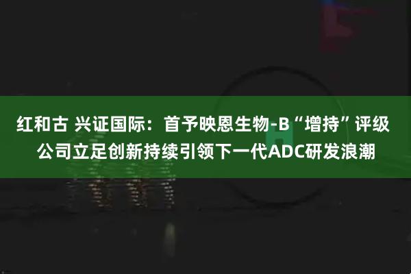 红和古 兴证国际：首予映恩生物-B“增持”评级 公司立足创新持续引领下一代ADC研发浪潮