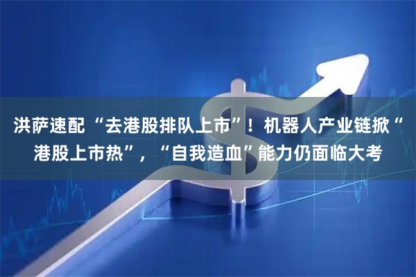 洪萨速配 “去港股排队上市”！机器人产业链掀“港股上市热”，“自我造血”能力仍面临大考