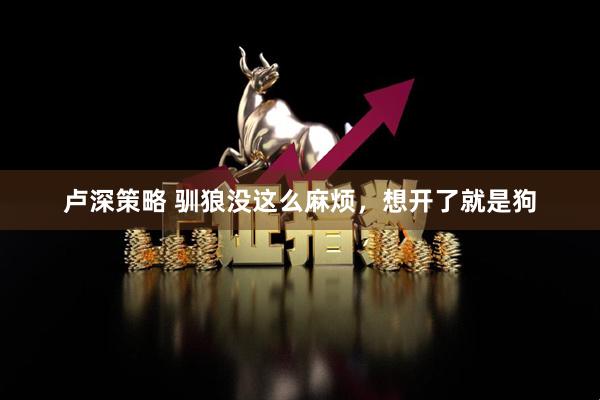 卢深策略 驯狼没这么麻烦，想开了就是狗
