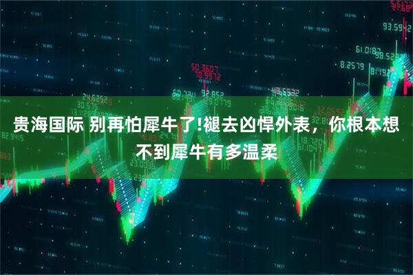 贵海国际 别再怕犀牛了!褪去凶悍外表，你根本想不到犀牛有多温柔