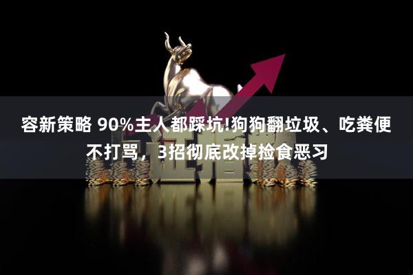 容新策略 90%主人都踩坑!狗狗翻垃圾、吃粪便不打骂,3招彻底改掉捡食恶习