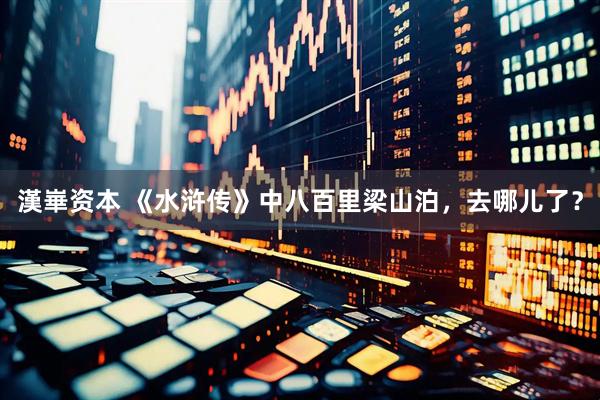 漢崋资本 《水浒传》中八百里梁山泊，去哪儿了？