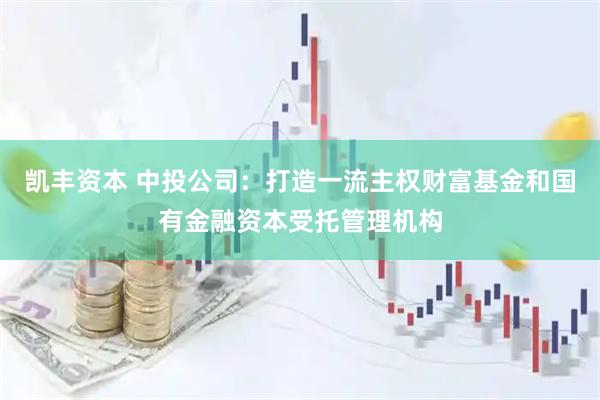 凯丰资本 中投公司：打造一流主权财富基金和国有金融资本受托管理机构