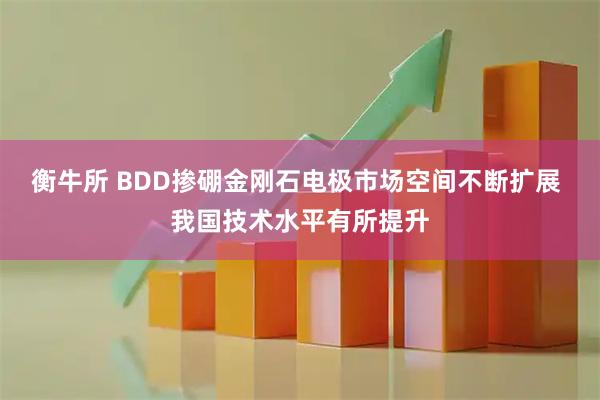 衡牛所 BDD掺硼金刚石电极市场空间不断扩展 我国技术水平有所提升