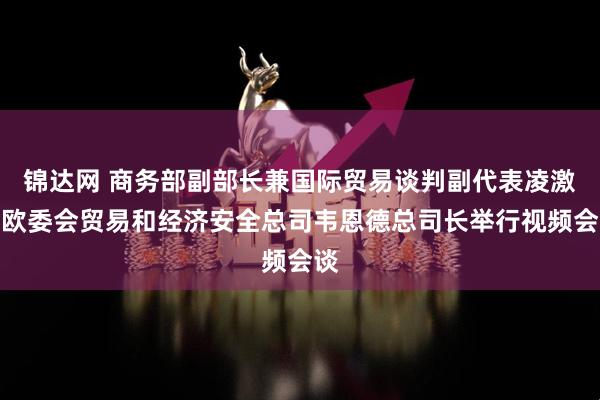 锦达网 商务部副部长兼国际贸易谈判副代表凌激与欧委会贸易和经济安全总司韦恩德总司长举行视频会谈