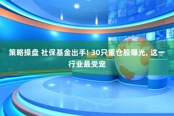 策略操盘 社保基金出手! 30只重仓股曝光, 这一行业最受宠