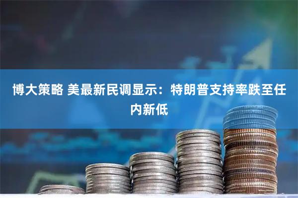 博大策略 美最新民调显示：特朗普支持率跌至任内新低