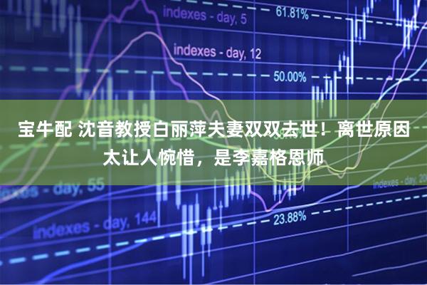 宝牛配 沈音教授白丽萍夫妻双双去世！离世原因太让人惋惜，是李嘉格恩师