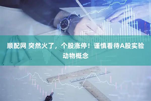 顺配网 突然火了，个股涨停！谨慎看待A股实验动物概念