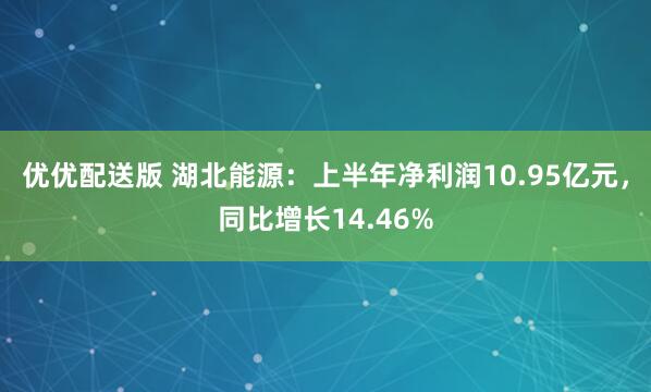 优优配送版 湖北能源:上半年净利润10.95亿元,同比增长14.46%