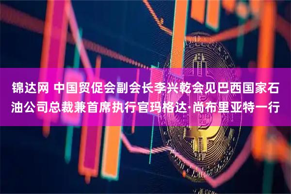 锦达网 中国贸促会副会长李兴乾会见巴西国家石油公司总裁兼首席执行官玛格达·尚布里亚特一行